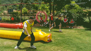 11.gif